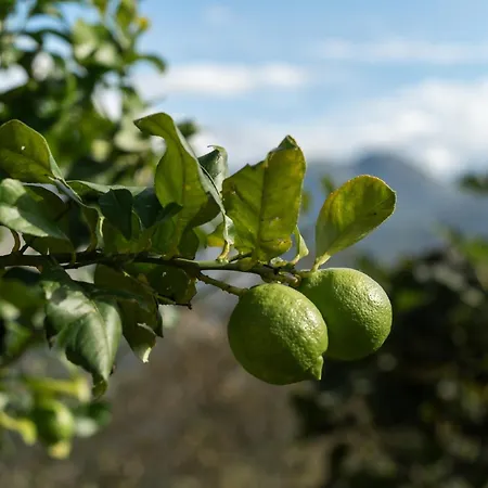 La Casona De Abajo Cangas De Onis 度假居 *