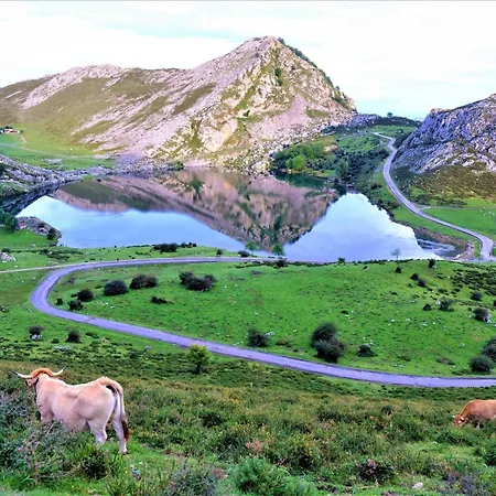 La Casona De Abajo Cangas De Onis بيت للعطل Avalle