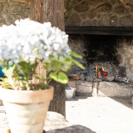 بيت للعطل La Casona De Abajo - Cangas De Onis *