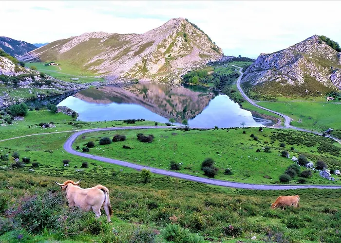 La Casona De Abajo Cerca De Cangas De Onís Avalle